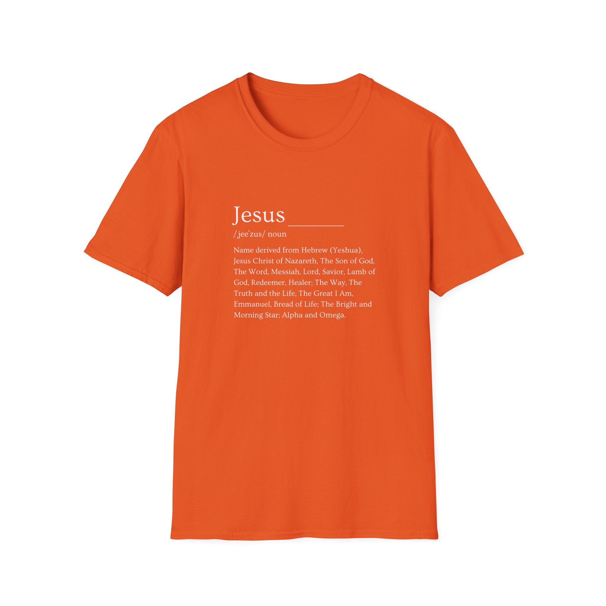 Jesus T-Shirt, Faith Shirt, Christian Apparel, Spiritual Gift, Religious Tee, Scripture Shirt