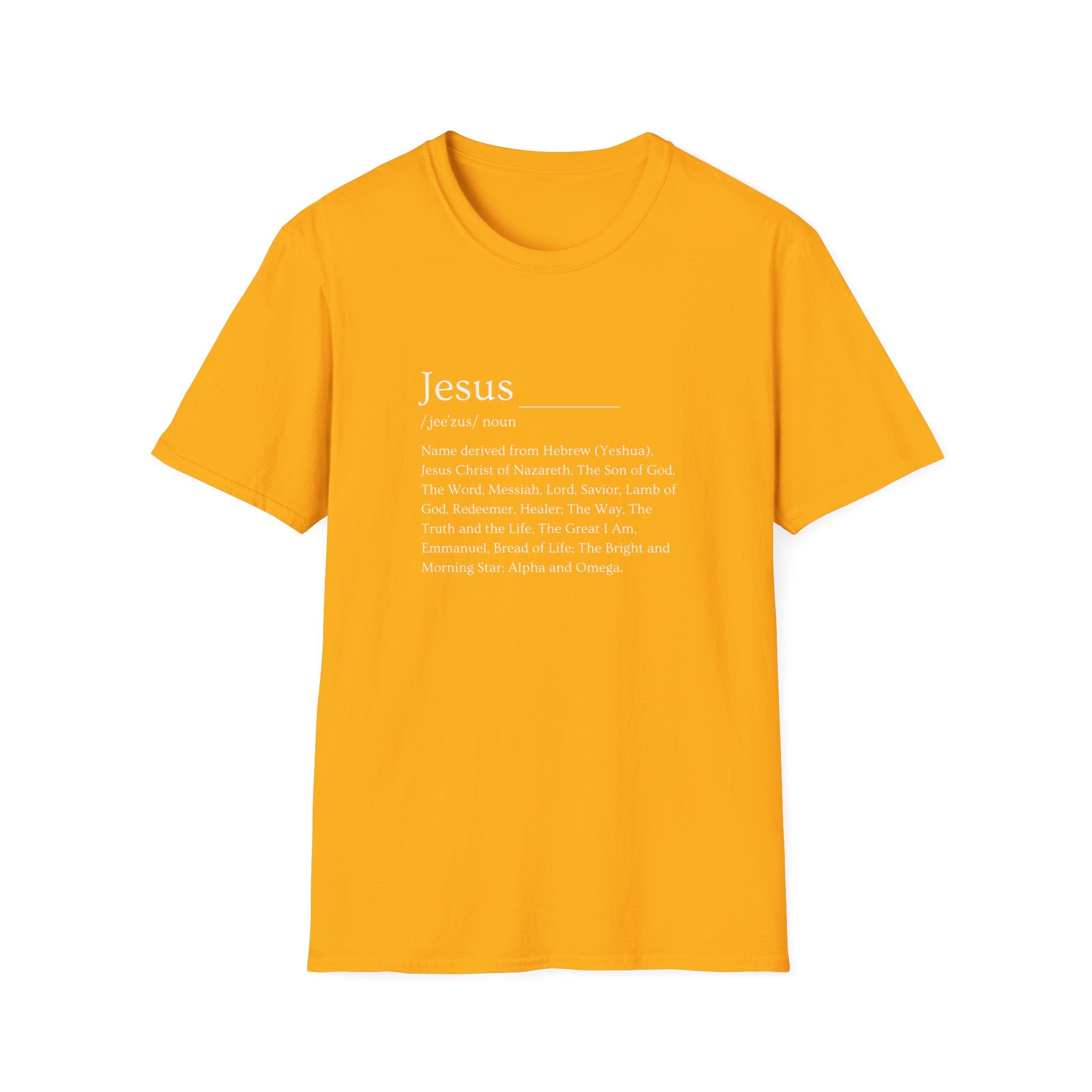 Jesus T-Shirt, Faith Shirt, Christian Apparel, Spiritual Gift, Religious Tee, Scripture Shirt