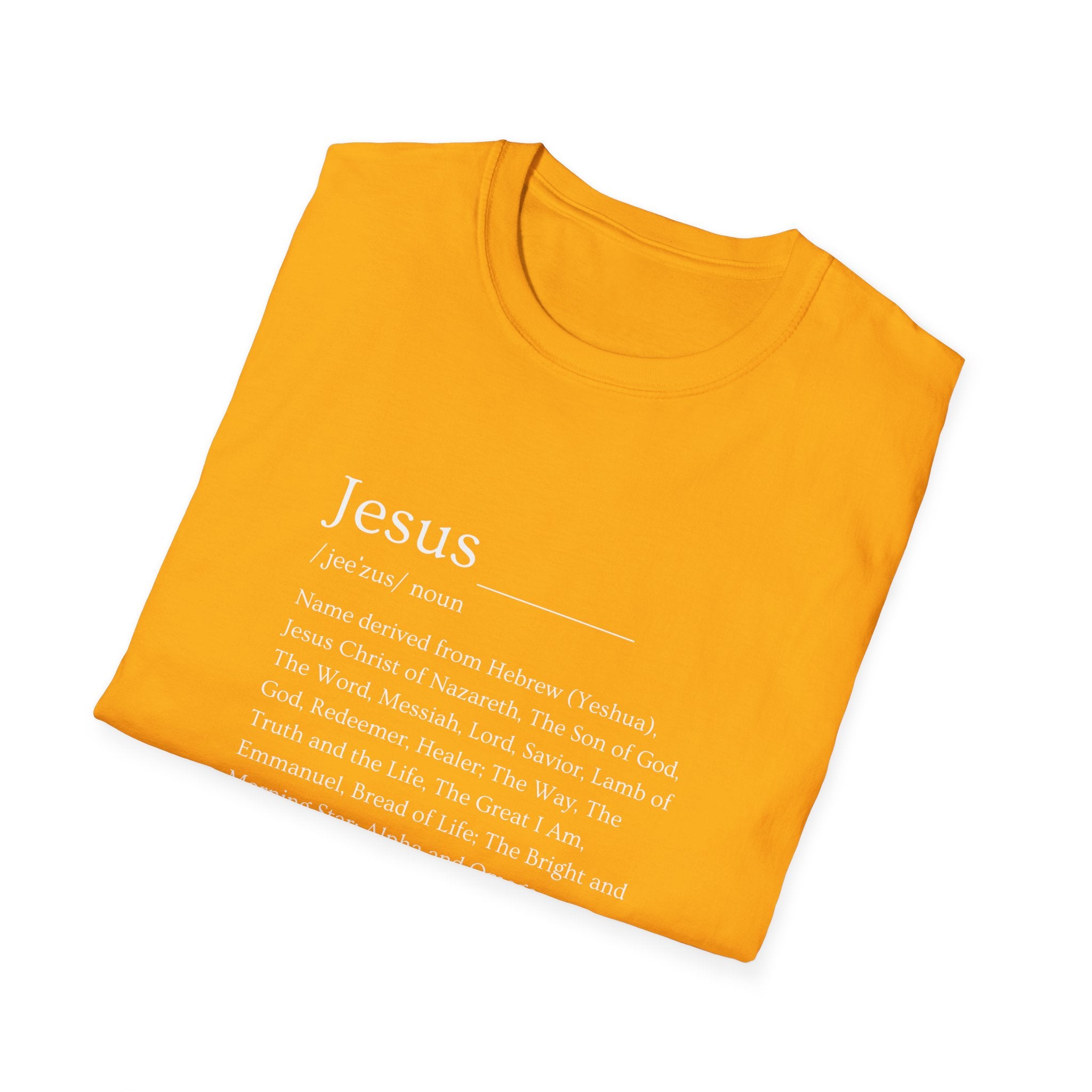 Jesus T-Shirt, Faith Shirt, Christian Apparel, Spiritual Gift, Religious Tee, Scripture Shirt